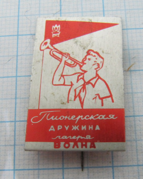 5433 Пионерская дружина лагеря Волна