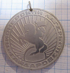 Медаль чемпиону олимпийских игр, пионерский лагерь Гайдаровец