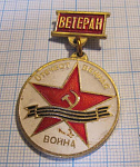 3163 Ветеран Отечественная война, Красноярск