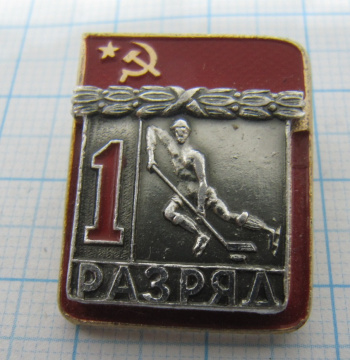 0113 1 разряд, хоккей, ЗСЗ