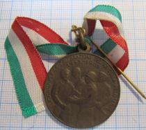 6165, Медаль 20 лет сопротивлению, Италия 1945-1965