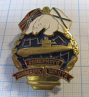 01234, Подводник Северного флота
