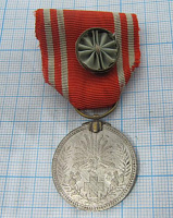 6161, Медаль члена Красного креста, Япония