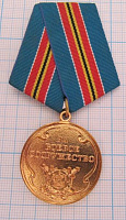 Медаль за боевое содружество МВД РФ
